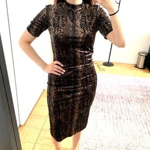Zara Trafaluc velvet snake print midi dress